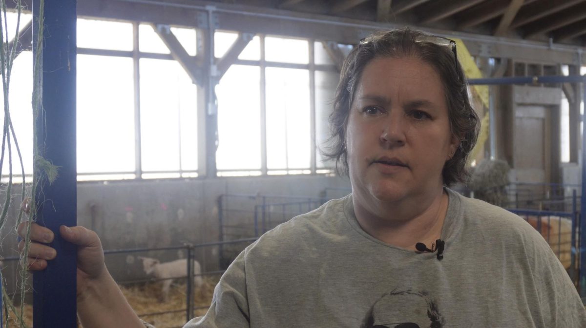 Animal Science teacher Gail Koskela stands in front of a pen for new lambs.